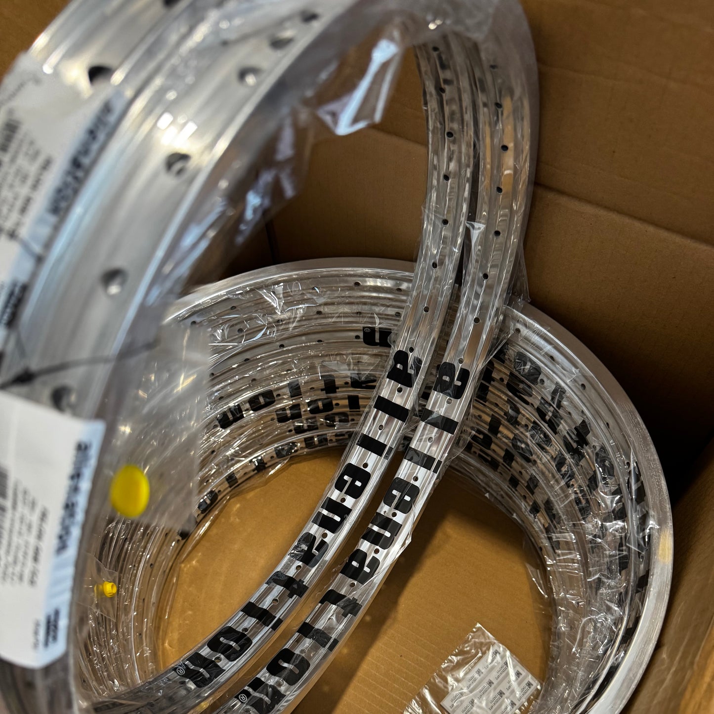 ALN_Felon_Polished_live