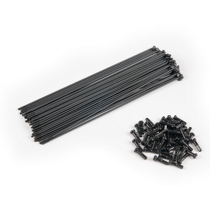 Eclat PG Speichen / Spokes Black