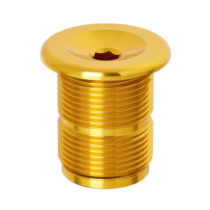 S&M Bikes M24 Gabelschraube / Top Bolt Gold