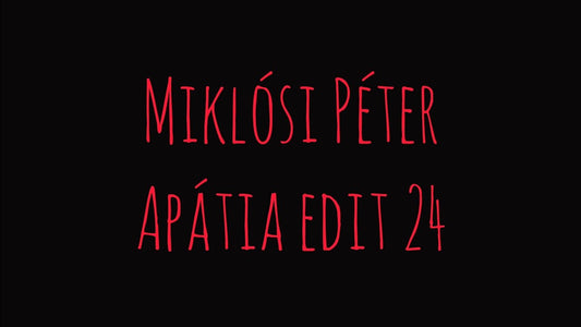 Peter Miklosi 2024 Recap