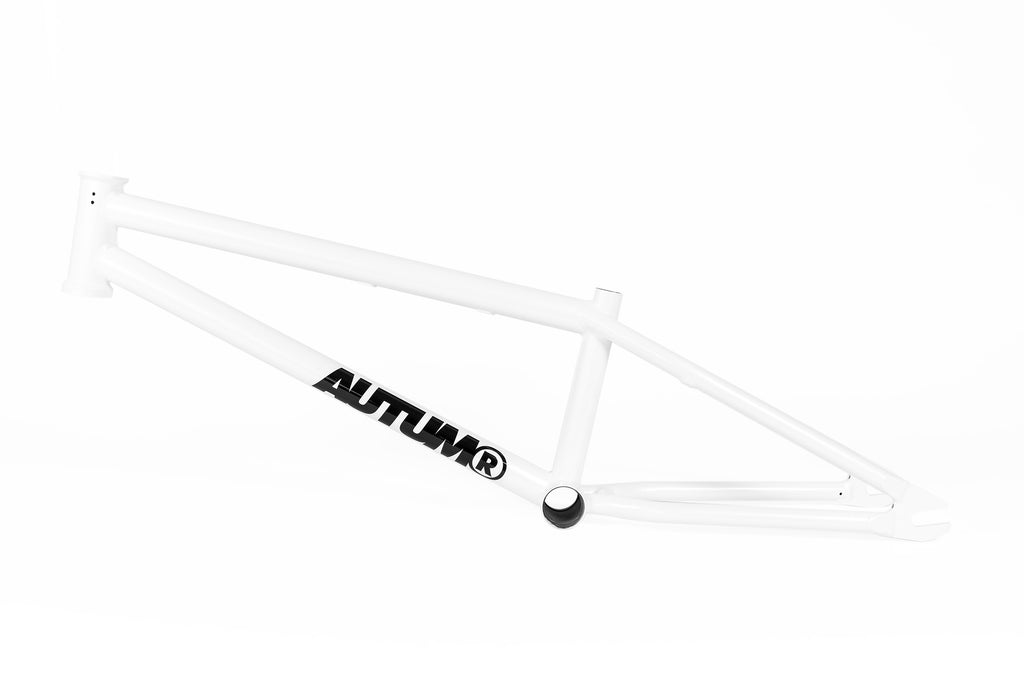 Autum Razzia V3 19.3” White Rahmen / Frame Flatland