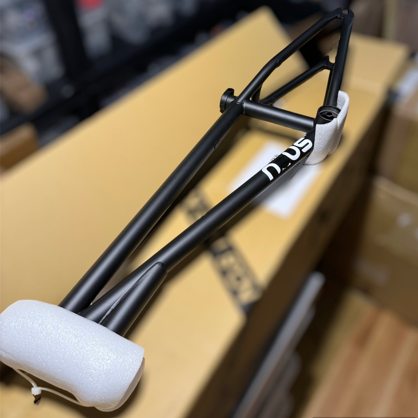 Nous Raw V3 19.3” Matte Black Rahmen / Frame Flatland