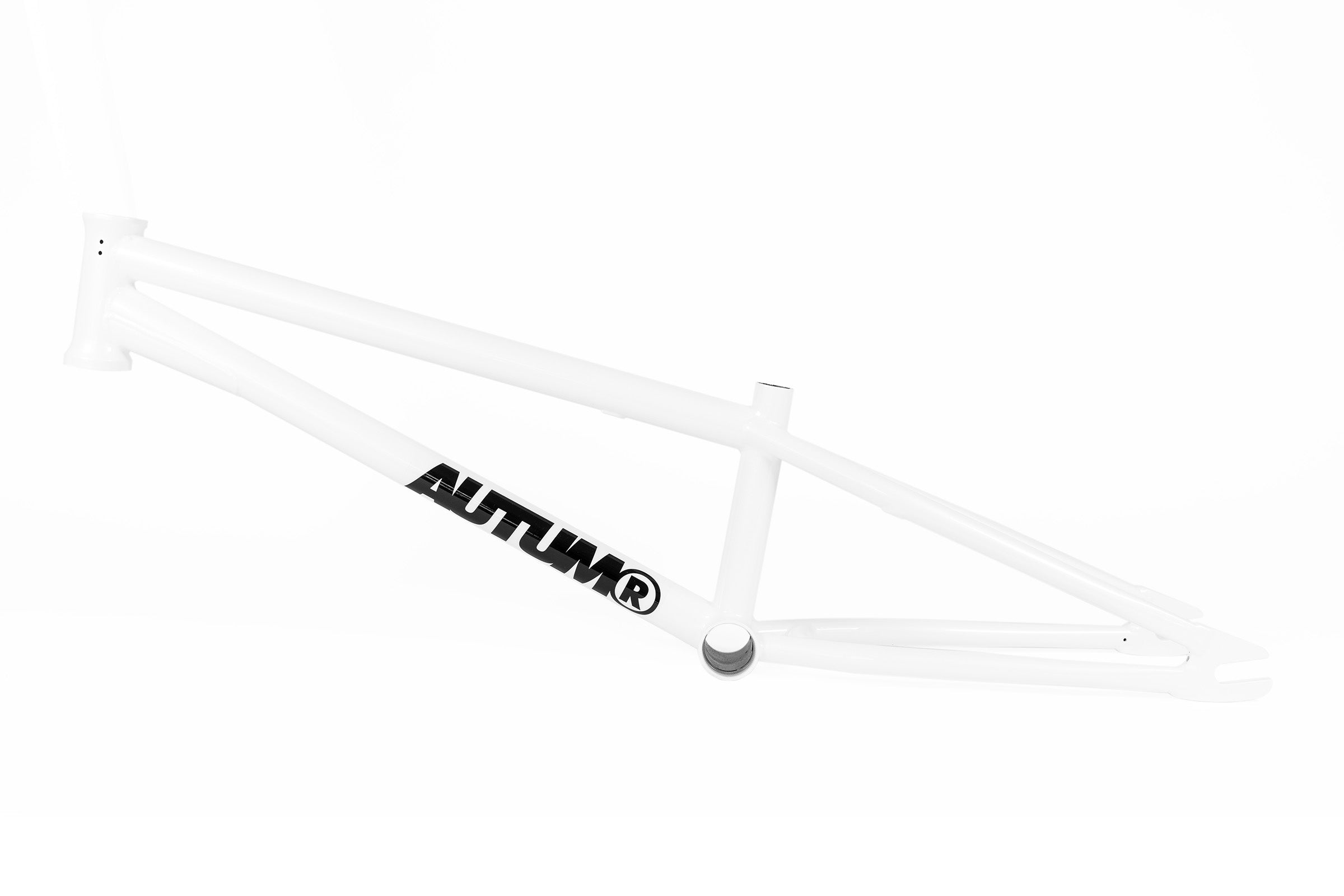 Autum Lash V2 18.7” White Rahmen / Frame Flatland